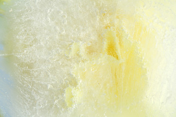 frozen flora - yellow carnation