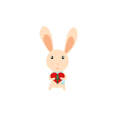 rabbit with present with love
