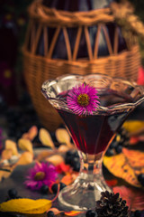 Gifts autumn kitchen sweet aromatic drink tincture chokeberry