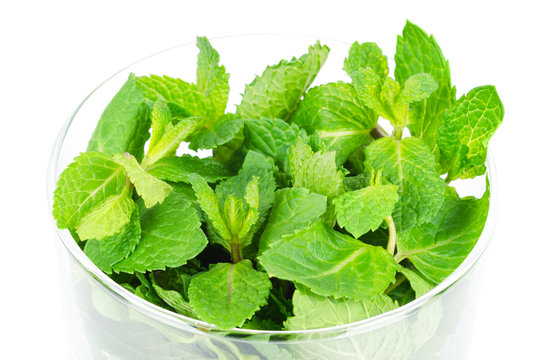 Fresh peppermint leaves in glass bowl over white. Green Mentha piperita is an edible herb and its mint flavor is used for ice cream, cocktails and toothpaste. Isolated macro food photo.