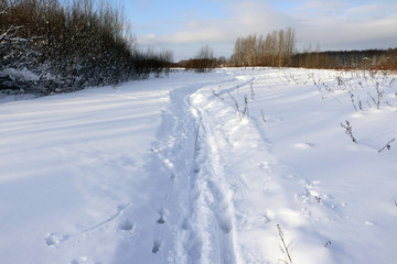 Fototapeta na wymiar Path in the snow in a cold winter day