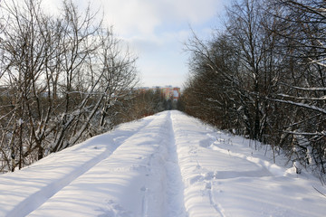 Path in the snow in a cold winter day