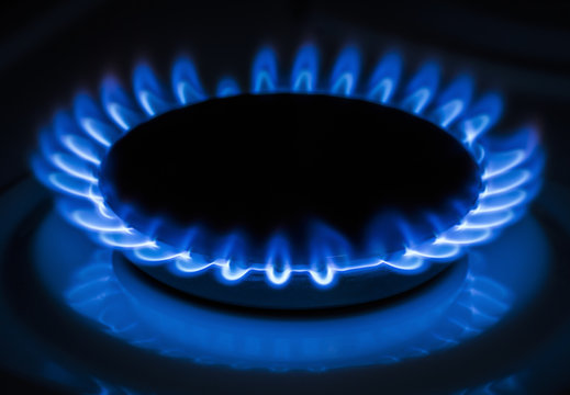 Burner gas stove