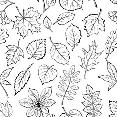 Seamless Pictogram Tree Leaves Dogrose, Oak, Iberian Oak, Maple, Liquidambar, Hawthorn, Poplar Silver, Hazel, Elm, Birch, Linden, Rowan, Chestnut, Buckeye, Viburnum, Chokeberry, Lilac and Teak. Vector
