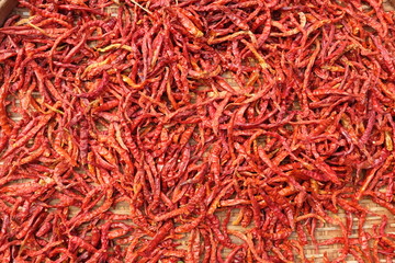 Fototapeta premium dry chilli