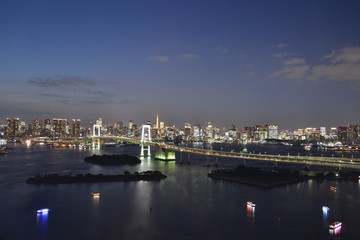 Fototapeta na wymiar Tokyo Night View