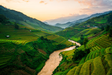 Terrasvormig rijstveld in Mu Cang Chai, Vietnam