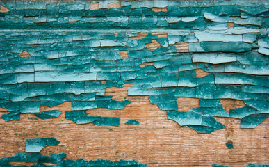 old cracked paint pattern on wood background.in turquoise and blue shade.close-up view.