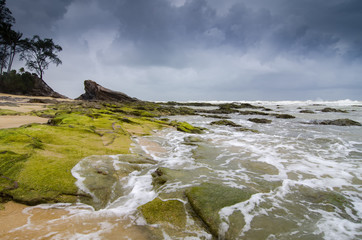 beautiful sea view, wave hitting the rock covered by vibrant green mossy and algae.dramatic cloudy sky