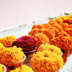 Marigold and rose for offering respect at Mahabodhi Temple. Aged photo. Colorful flowers on the white shelf. Bodhgaya, India.