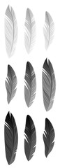 Set of feather