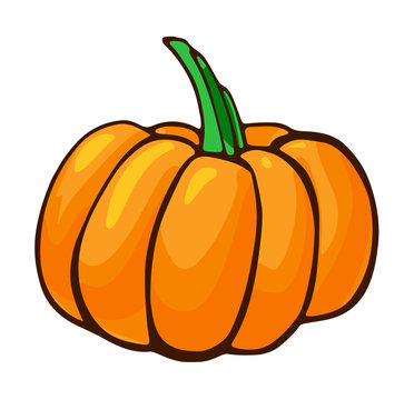 Halloween pumpkin vector hand drawn image