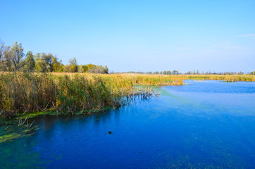 Beautiful lake and blue sky on autumn