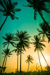 Silhouet kokospalmen op het strand bij zonsondergang. Vintage toon.