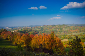 Emerald necklaces and cobalt blue sky