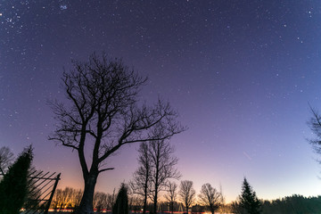 Stars at night with tree and road