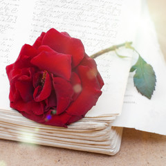 Vintage Background with Rose on Old Book - Greeting Card