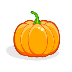 Pumpkin. Harvest Thanksgiving vector illustration isolated on white. Natural, organic Vegetables. Health Vegan food. Autumn, halloween symbol.
