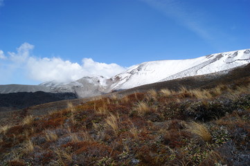tongariro