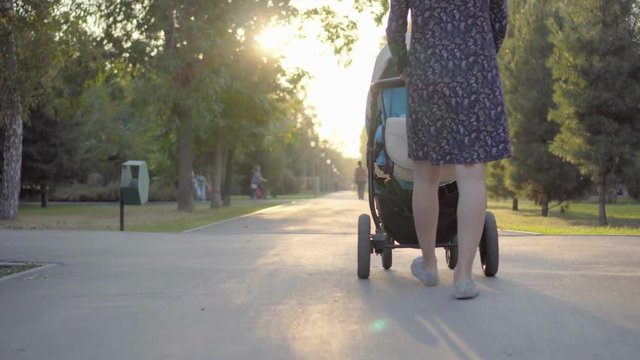 Mother walking with a pram in the park. Autumn nature background. Bottom view. Stedycam.