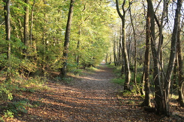 Obraz premium Chiemsee mit Sonne und Berge im Herbst