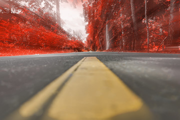 Road
