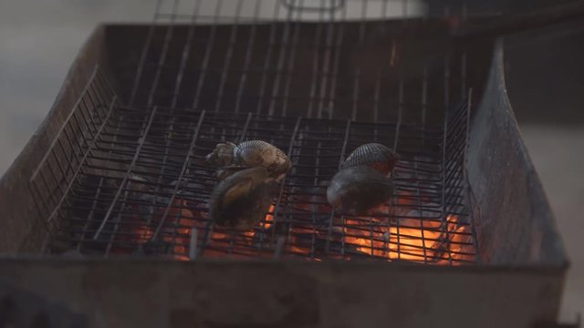 4k Snail Barbecue Grill cooking seafood. background eat Restaurant
