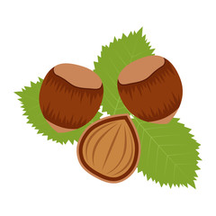 Flat icon hazelnuts and half of hazelnut. Vector illustration.