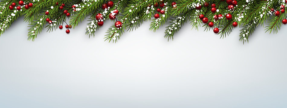 Christmas banner with fir branches.