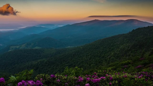 Time Lapse from Grassy Ridge at Sunrise During the Spring Bloom of Rhododendron.