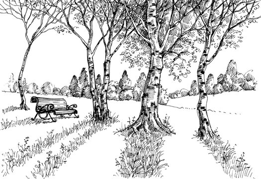 Garden in the sunlight drawing. A bench in the park