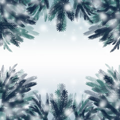 Christmas frame made of fir branches and snow