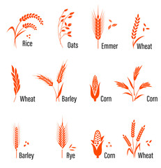 Cereals icon set with wheat.