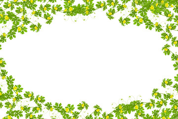Obraz na płótnie Canvas Green leaves with yellow flower frame isolated on white backgrou