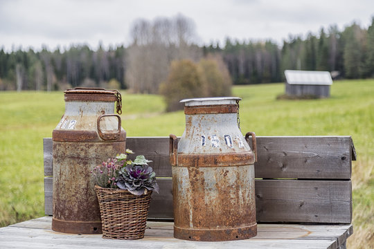 Small Milk Can Stock Photo, Picture and Royalty Free Image. Image 9136131.