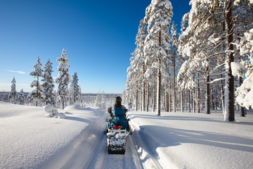 Sunny winter landscape with a man traveling Finnish Lapland with snowmobile - obrazy, fototapety, plakaty