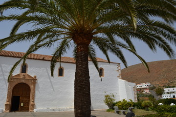 Palmier devant une &eacute;glise typique des canaries