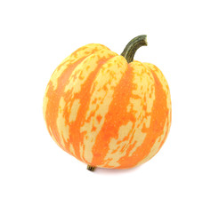 Festival squash with orange and yellow stripes