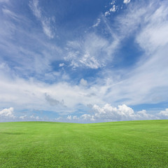 green grass field and  blue sky scenery background.