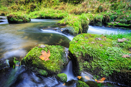 Edmundsklamm im Herbst - B&ouml;hmischen Schweiz, Tschechen