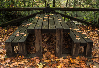 Mesa cubierta de hojas secas