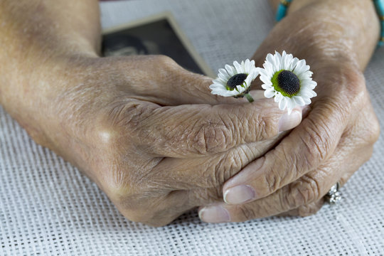 Elderly Woman and Flowers