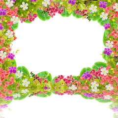 Obraz na płótnie Canvas Beautiful green leaves frame with flower on white background wit