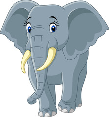 Cartoon funny elephant isolated on white background - 124525361