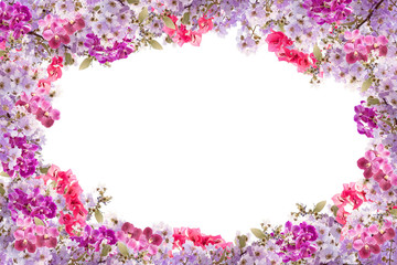 Beautiful purple flower frame on white background