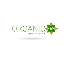 Eco Friendly Organic Natural Product Web Icon Green Logo Flat Vector Illustration