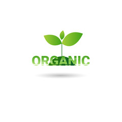 Eco Friendly Organic Natural Product Web Icon Green Logo Flat Vector Illustration