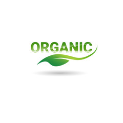 Eco Friendly Organic Natural Product Web Icon Green Logo Flat Vector Illustration