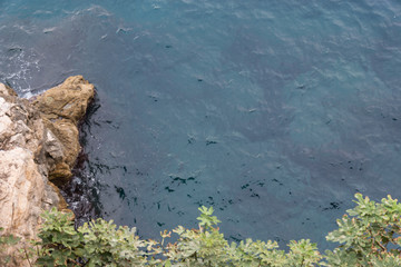 Coastline Lendscape in Salento, Italy