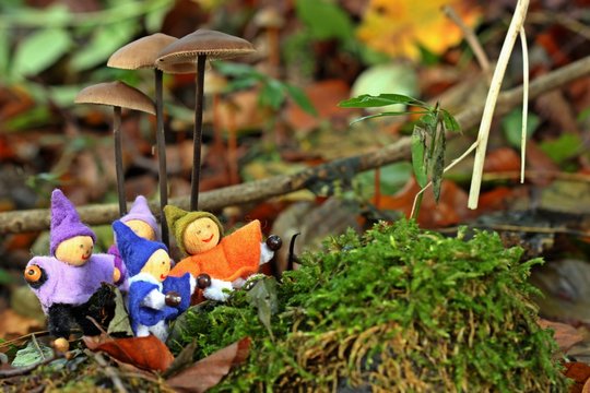 Vier kleine Wichtel sitzen im Moos unter Pilzen
